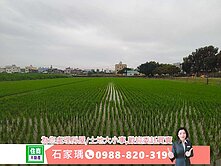 🍎專任🏅市場獨賣🏅橋頭都內農地(城一)