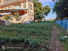 專)平鎮復旦高中都計內臨路農地 喜歡可談