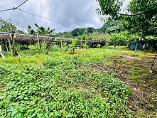 最便宜新社東興國小旁農地1坪1.68萬