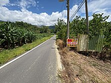 🎏甲仙農地6.8分✨有水有電有臨路✨現成開心農場