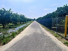 麻豆黎明中學/磚井段三角窗都內農地