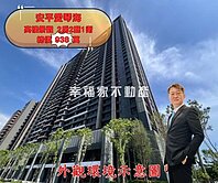 安平愛琴海景兩房平車