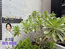 house cover