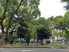 🏆王敬紅🏆元大柏悅露臺戶樹海豪邸