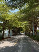 馬鳴投資自產農地~正臨8米路地主急售