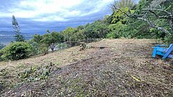 東勢開心小農場