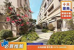🌟【專寅】新光國小旁・輕屋齡社區型雙車別墅🌺