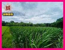 💥永慶💥大溪瑞源段農地近大溪交流道