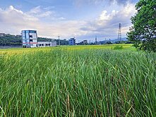 北0266001礁溪鄉國五交流道旁農地視野景觀宜人