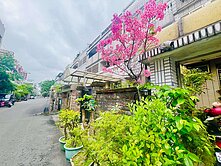 湯秉龍嚴選藝文中路雙特區愛七街庭院車庫美墅