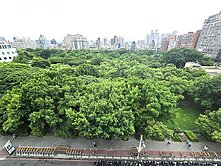 小賴唯一🤩面萬坪公園!電梯邊間大三房車位捷運美宅