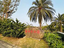 🏬 大坪頂植物園區|雙面臨路|商二建地