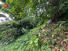三峽添福低總價休閒丙建
