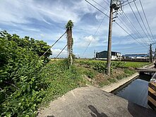 【新園稀有釋出】臨20米路！果園小農地115坪