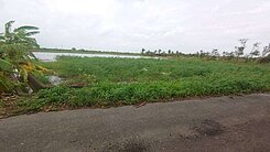 31016七股雙面臨路美農地