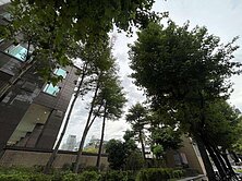 🏡誰說小宅戶數一定複雜？中山區純住宅電梯小宅