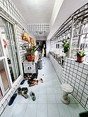 圓林園旁打通戶大坪數五房雙車位華廈 