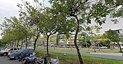 誠賣再降價！武廟正道公園8米巷騎樓透天