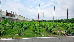 大寮潮興路會結北段都計土地A