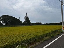 新屋近永安國小美農地+甲建