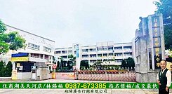 後甲11間套房路面透天宿舍/住商惜福專銷