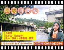 台北｜信義區大馬路旁山坡地