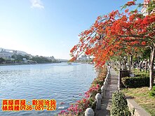 國泰頤河A棟｜永久棟距｜愛河畔生活