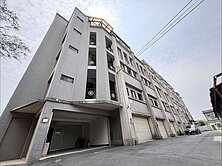 🍎楊梅幼獅交流道電梯別墅🍎