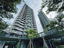 橋頭新市鎮/面公園全新正3房雙平車/鼎宇森林之星 