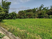 忠愛莊800坪農地