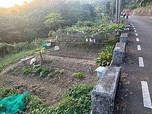 龍潭區三坑老街入口大面寬漂亮農地
