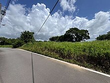 湖口~和興段327美農地
