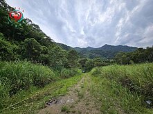 三峽有木8200坪廣大平坦景觀遼闊休閒農地
