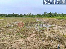 關廟區旺旺萊5.75分有水有電好用農地