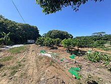 近永豐高中 有水有電 都計內農地