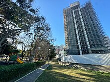 森林首席E3