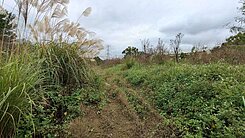 【專任】三灣北埔農牧用地