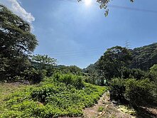 卓卓🌸祖厝農地🌸面開闊平地|臨路|振興路距百尺