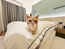 house cover