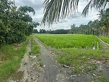 鹽埔彭厝大農地