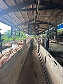 🎀竹田｜大地坪｜合法豬舍｜畜牧場登記🎀