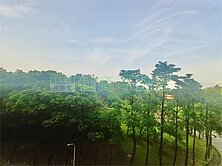 🏡南港國宅正面公園景觀三房✨