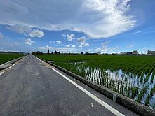 漂亮美農地/屋主誠意出售
