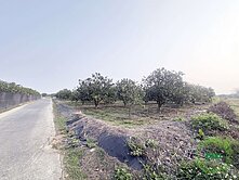 【麻豆 黎明 都內 6米路 620農地】
