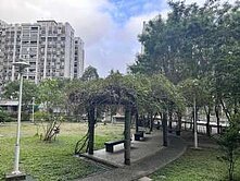 空軍一村🌈🌈🌈中庭三房平車