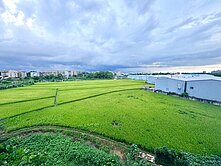 八德☘️植日森｜門口停雙車｜大五房｜衛浴皆開窗