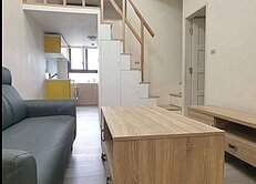 新埔巨蛋花園廣場挑高三米六魔術大空間｜投資高投報