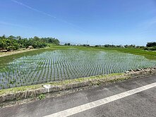 三星大隱國小重劃區農地