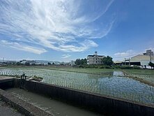 專任草屯近草鞋墩夜市面寬55米特農