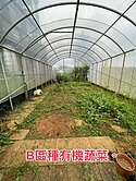 石門區富貴角休閒快樂農莊